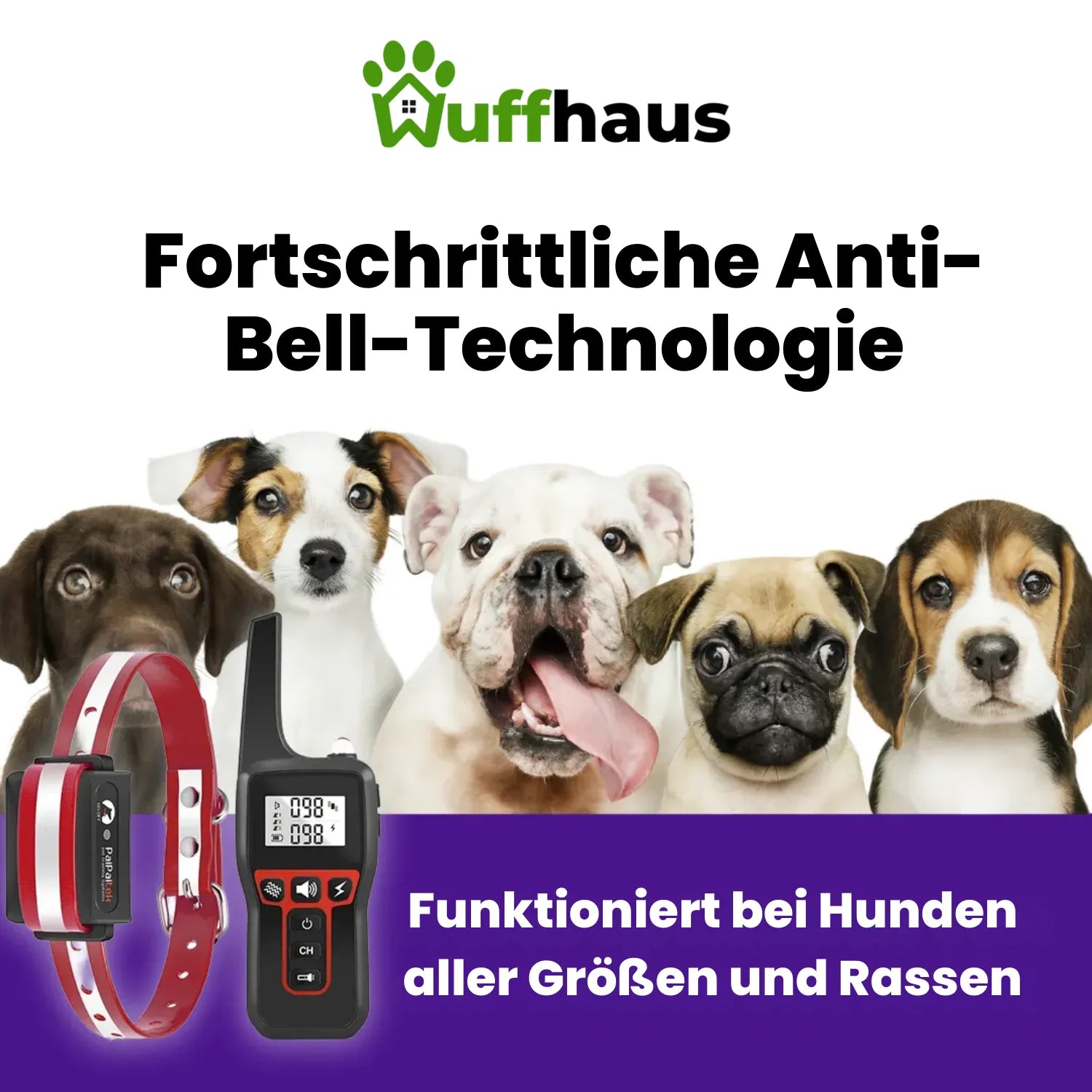 Dog Trainer Pro | Kabelloses Trainingshalsband für das Verhalten von Hunden
