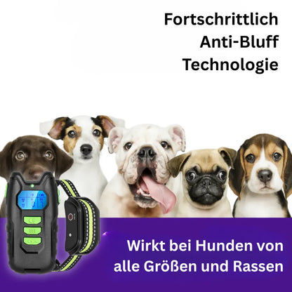 Dog Trainer Pro | Wiederaufladbares elektrisches Halsband für das Hundetraining