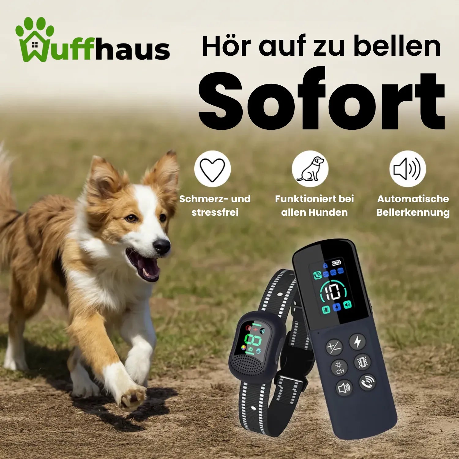 Dog Training Pro | Wasserdichtes, wiederaufladbares Trainingshalsband für jeden Hund