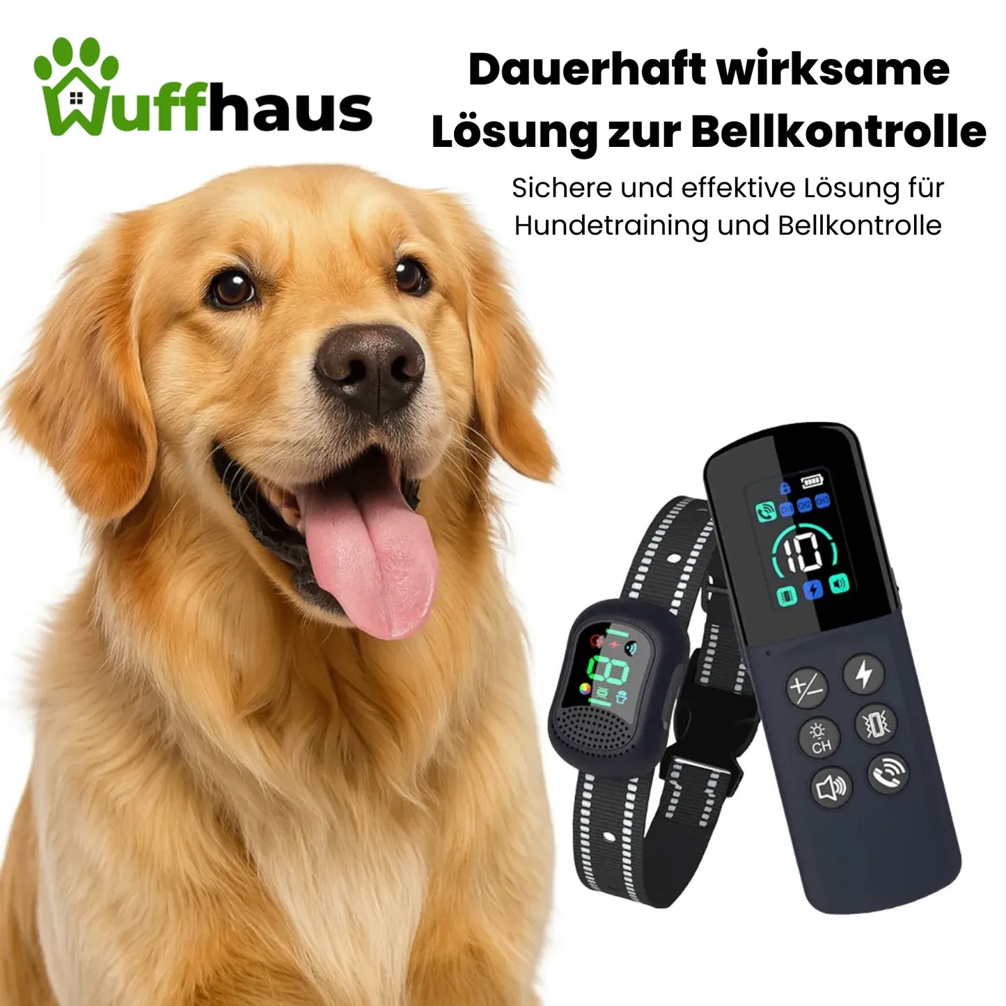 Dog Training Pro | Wasserdichtes, wiederaufladbares Trainingshalsband für jeden Hund