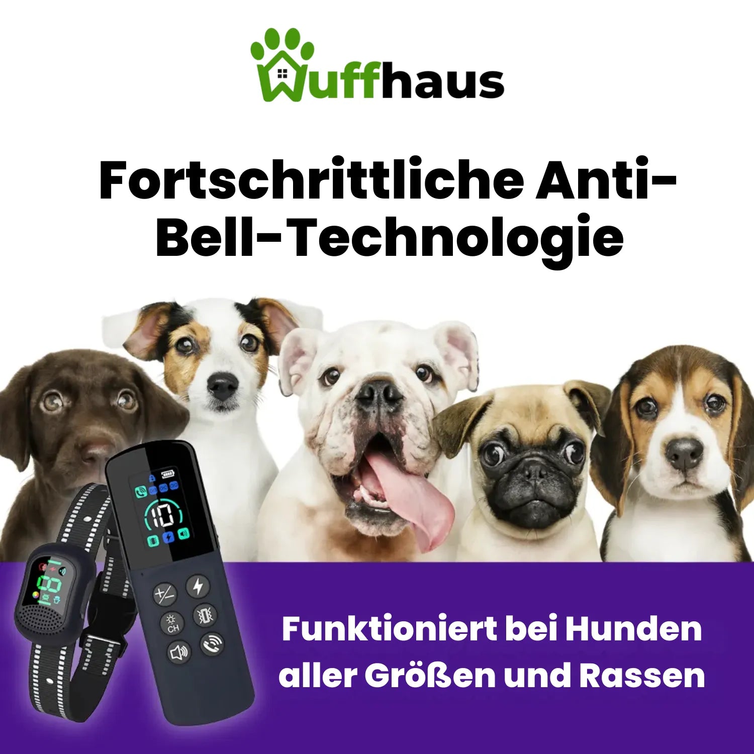 Dog Training Pro | Wasserdichtes, wiederaufladbares Trainingshalsband für jeden Hund