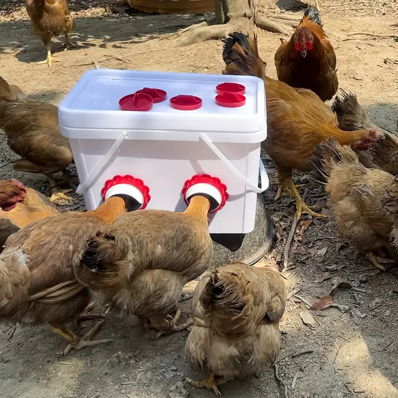 FeedFlow | Automatische Hühnerfütterungsstation ohne Strom und Aufwand