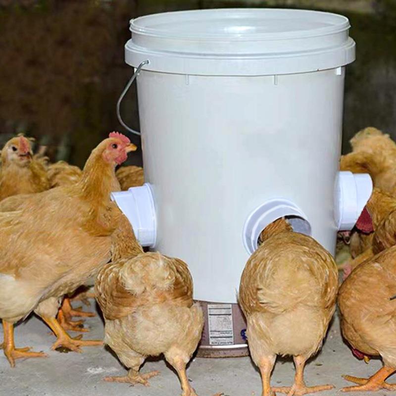 FeedFlow | Automatische Hühnerfütterungsstation ohne Strom und Aufwand