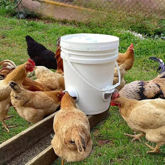 FeedFlow | Automatische Hühnerfütterungsstation ohne Strom und Aufwand