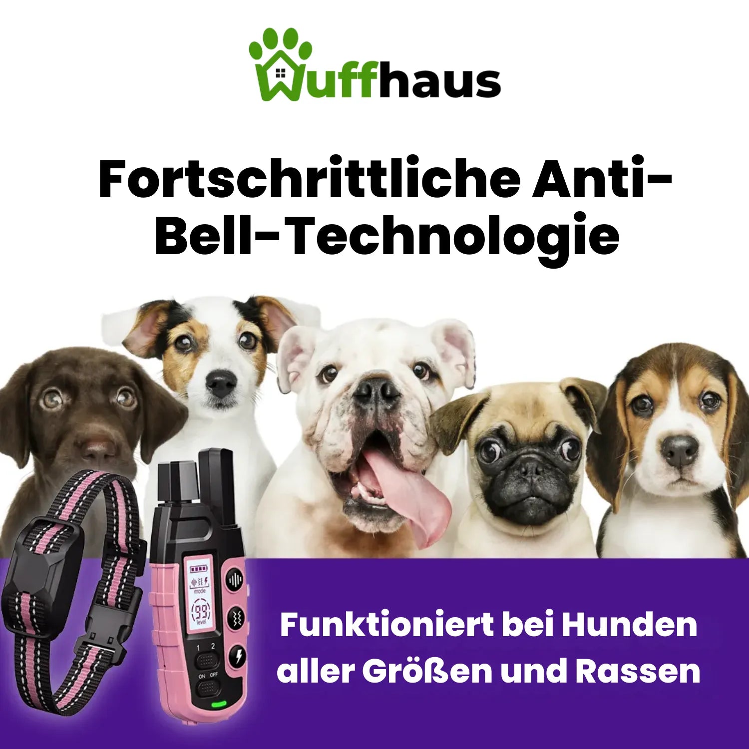 FidoTrainer Pro | Wiederaufladbares, wasserdichtes Hundetrainingshalsband mit Fernbedienung
