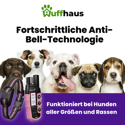 FidoTrainer Pro | Wiederaufladbares, wasserdichtes Hundetrainingshalsband mit Fernbedienung