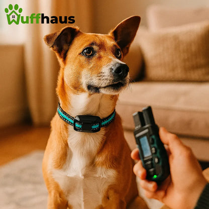 FidoTrainer Pro | Wiederaufladbares, wasserdichtes Hundetrainingshalsband mit Fernbedienung