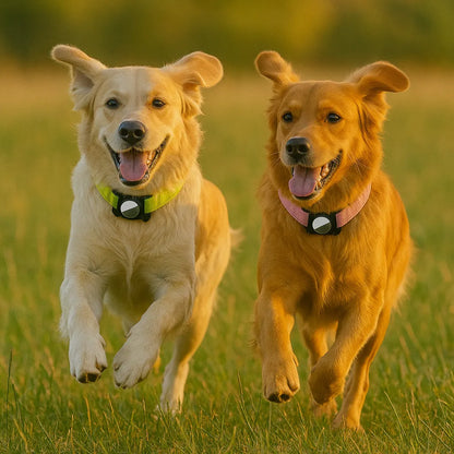 FlexiLok Halsband | Verstellbares Hundehalsband mit AirTag-Halter für mehr Sicherheit