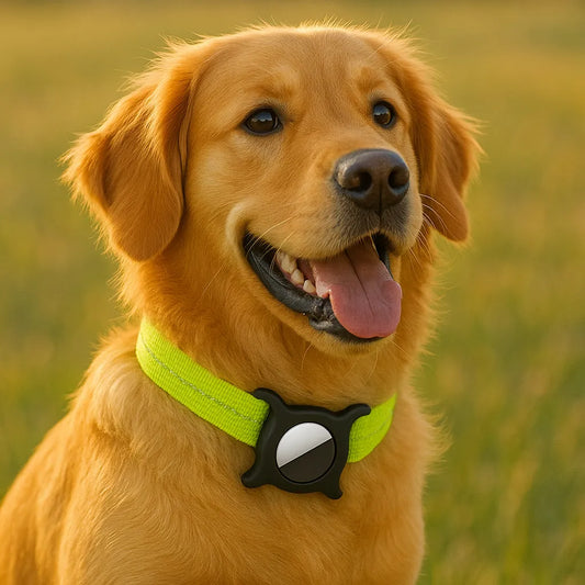 FlexiLok Halsband | Verstellbares Hundehalsband mit AirTag-Halter für mehr Sicherheit