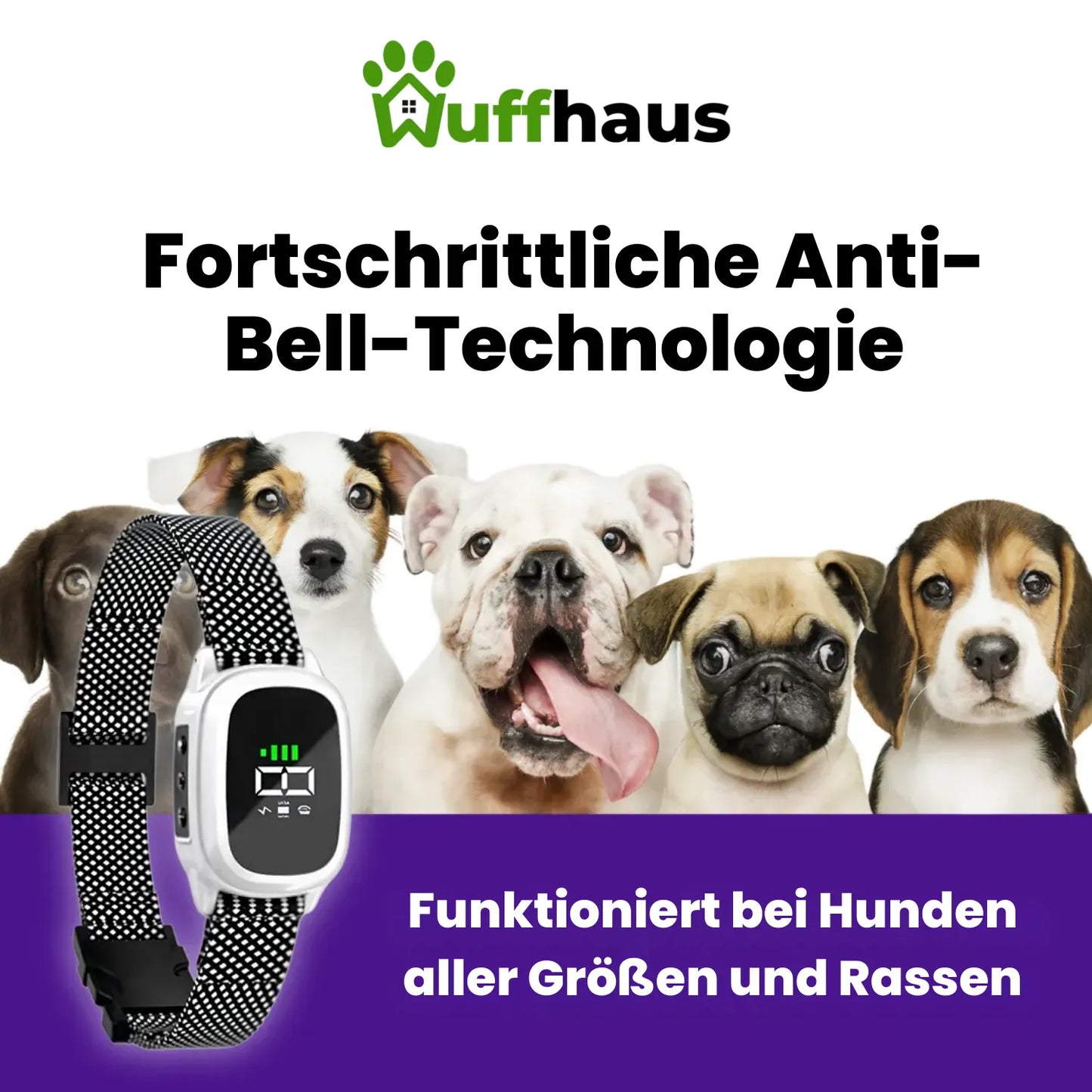 Flüsterhalsband | Automatisches Anti-Bell-Halsband mit wiederaufladbarer Schockfunktion