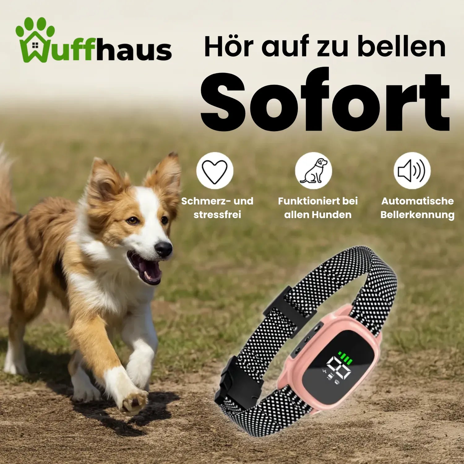 Flüsterhalsband | Automatisches Anti-Bell-Halsband mit wiederaufladbarer Schockfunktion
