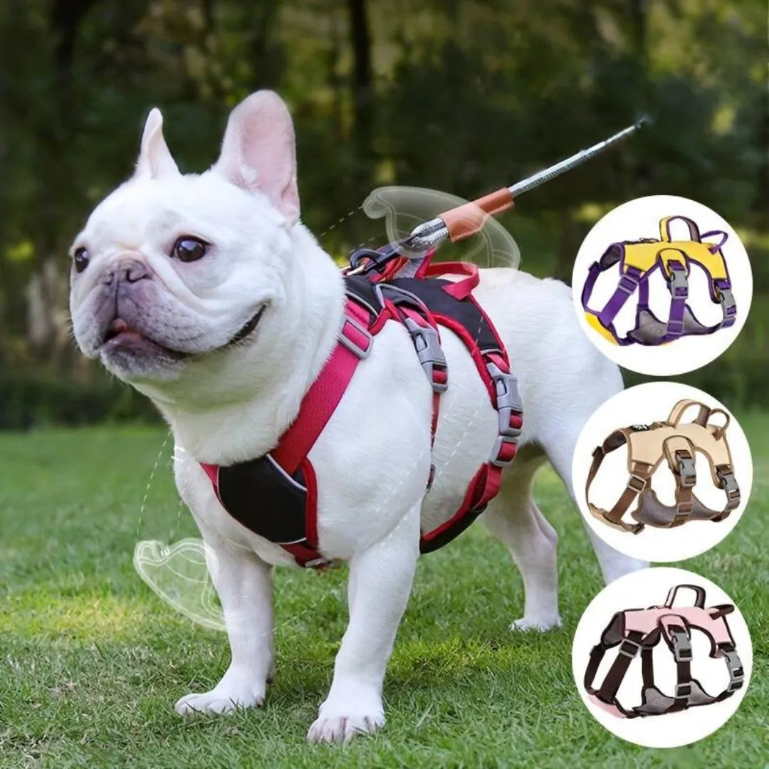 FreeStride Harness | Hundegeschirr ausbruchssicher, atmungsaktiv mit Reflexion