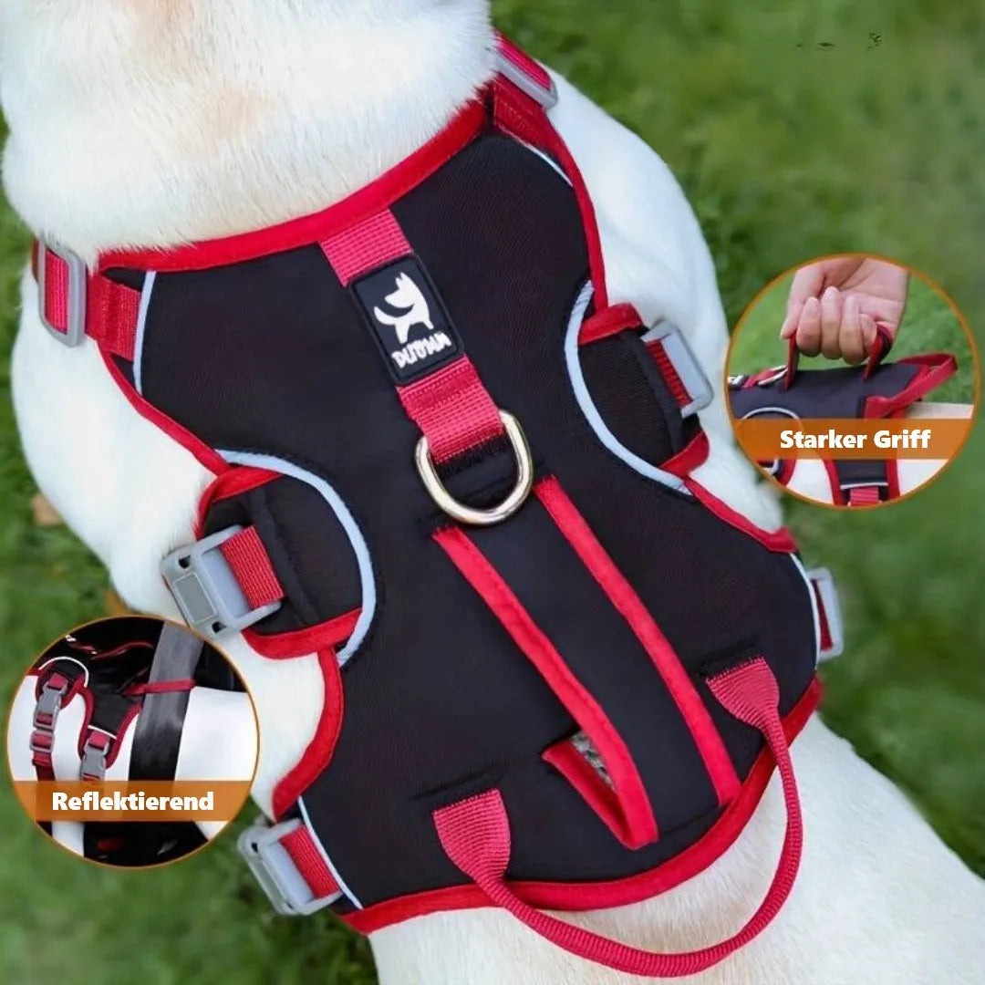 FreeStride Harness | Hundegeschirr ausbruchssicher, atmungsaktiv mit Reflexion
