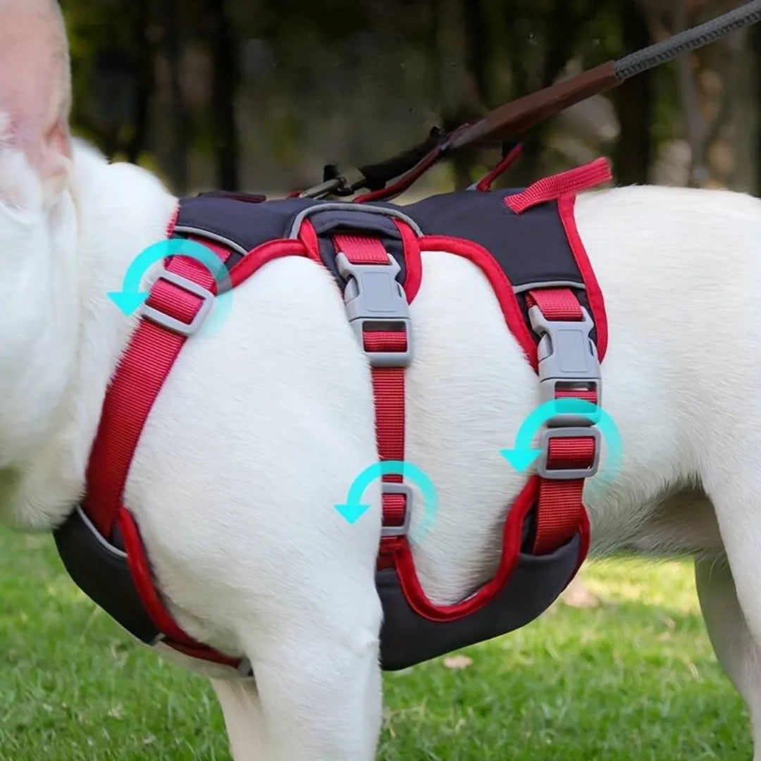 FreeStride Harness | Hundegeschirr ausbruchssicher, atmungsaktiv mit Reflexion