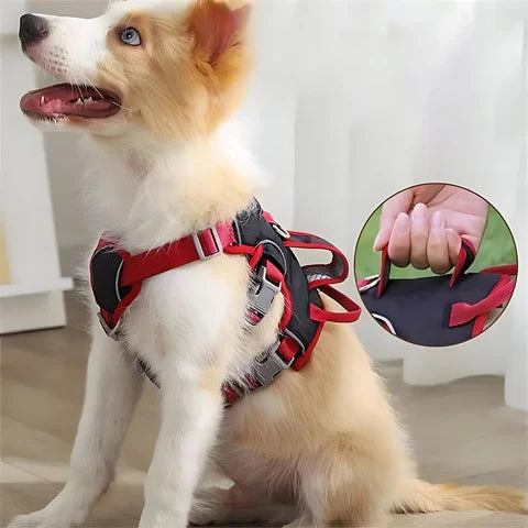 FreeStride Harness | Hundegeschirr ausbruchssicher, atmungsaktiv mit Reflexion