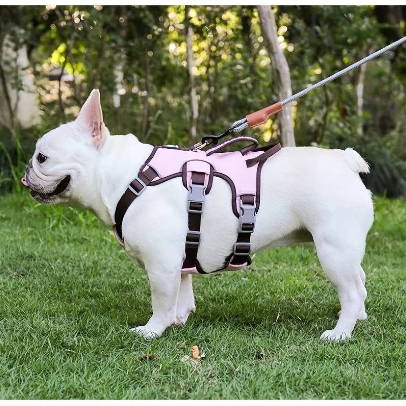 FreeStride Harness | Hundegeschirr ausbruchssicher, atmungsaktiv mit Reflexion