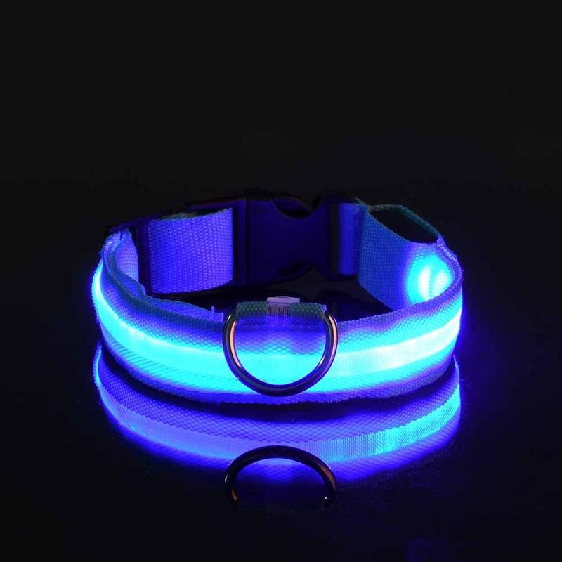 GlowGuard | LED-Hundehalsband für sichere Abendspaziergänge