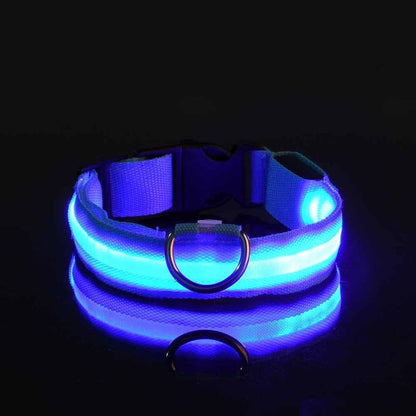 GlowGuard | LED-Hundehalsband für sichere Abendspaziergänge