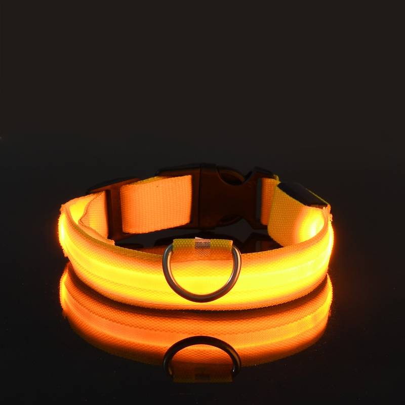 GlowGuard | LED-Hundehalsband für sichere Abendspaziergänge