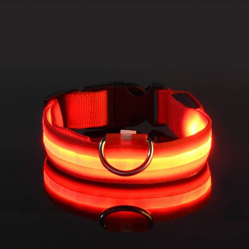 GlowGuard | LED-Hundehalsband für sichere Abendspaziergänge