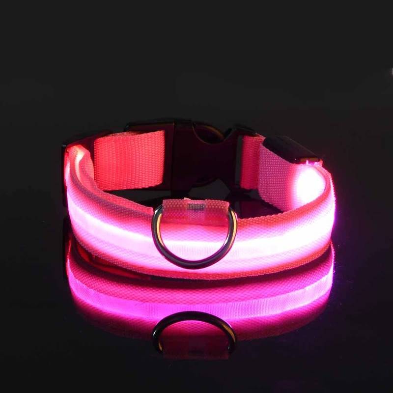 GlowGuard | LED-Hundehalsband für sichere Abendspaziergänge