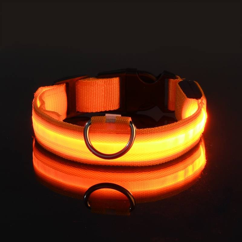 GlowGuard | LED-Hundehalsband für sichere Abendspaziergänge