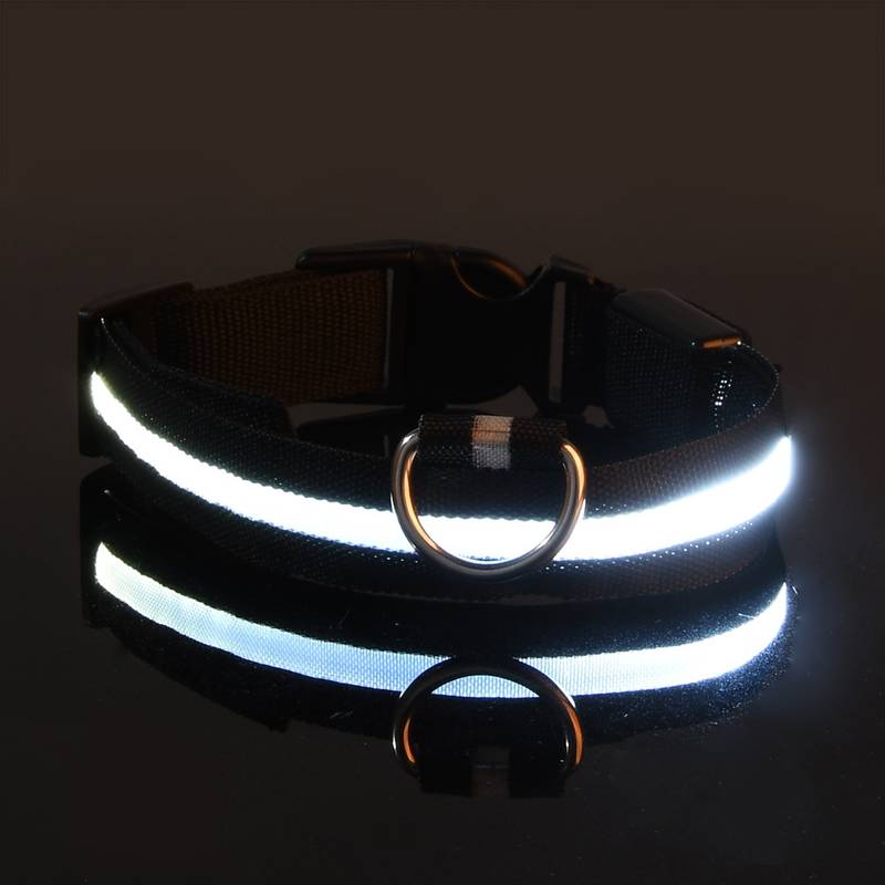 GlowGuard | LED-Hundehalsband für sichere Abendspaziergänge