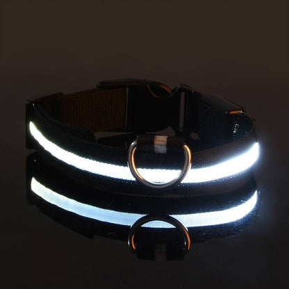 GlowGuard | LED-Hundehalsband für sichere Abendspaziergänge