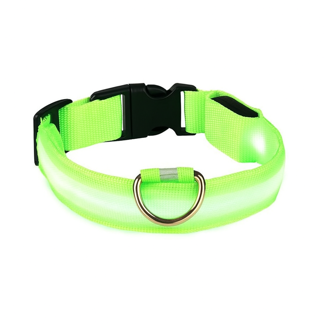 GlowGuard | LED-Hundehalsband für sichere Abendspaziergänge