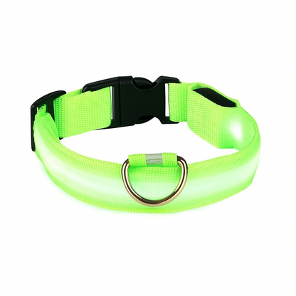 GlowGuard | LED-Hundehalsband für sichere Abendspaziergänge