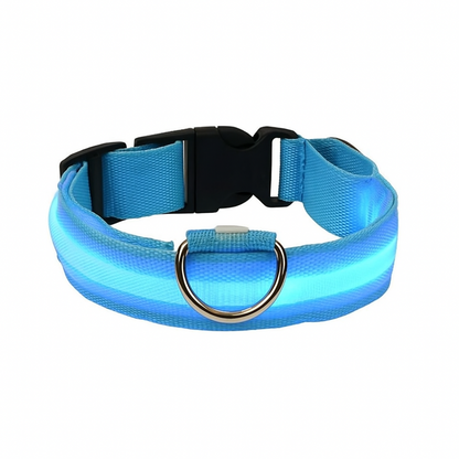 GlowGuard | LED-Hundehalsband für sichere Abendspaziergänge