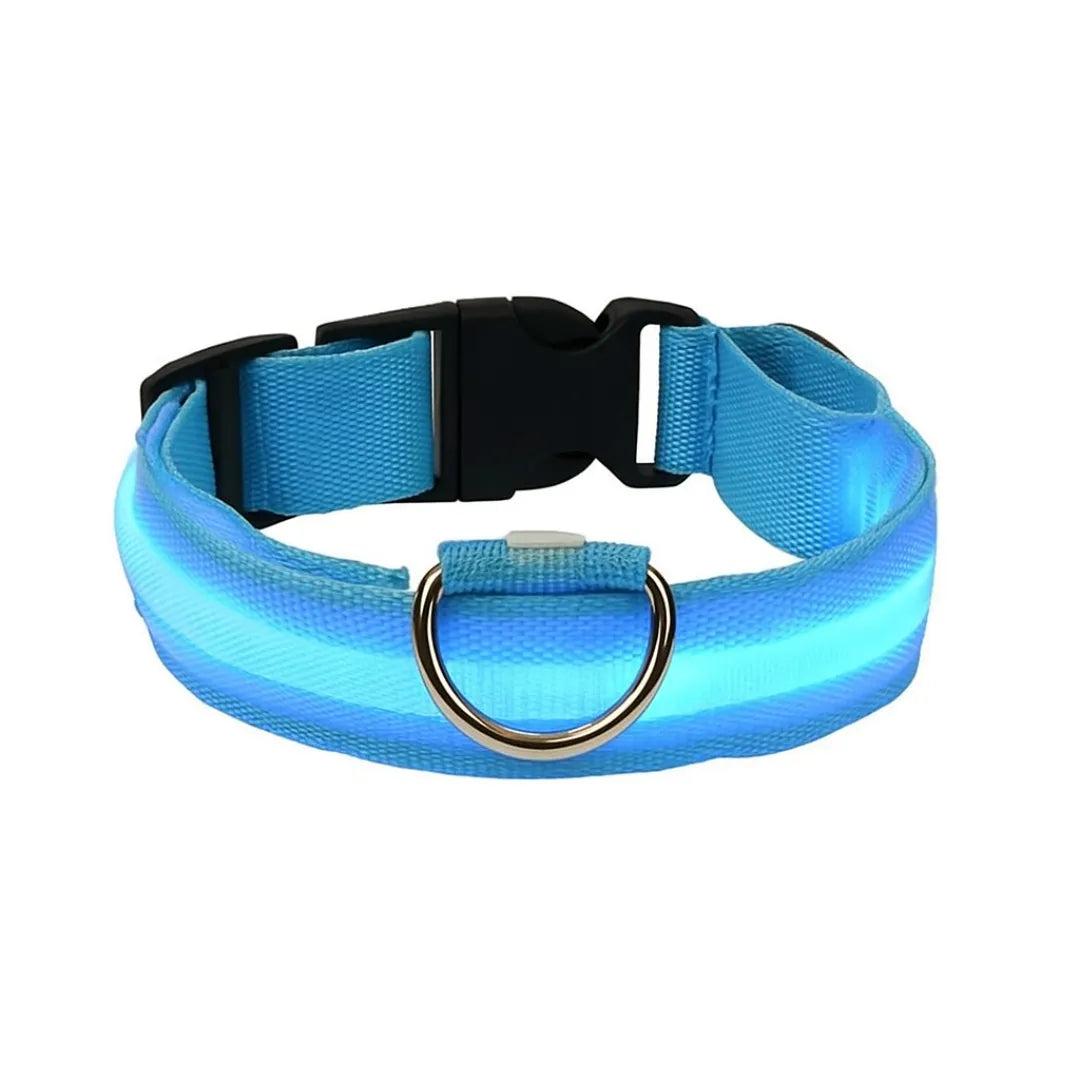 GlowGuard | LED-Hundehalsband für sichere Abendspaziergänge