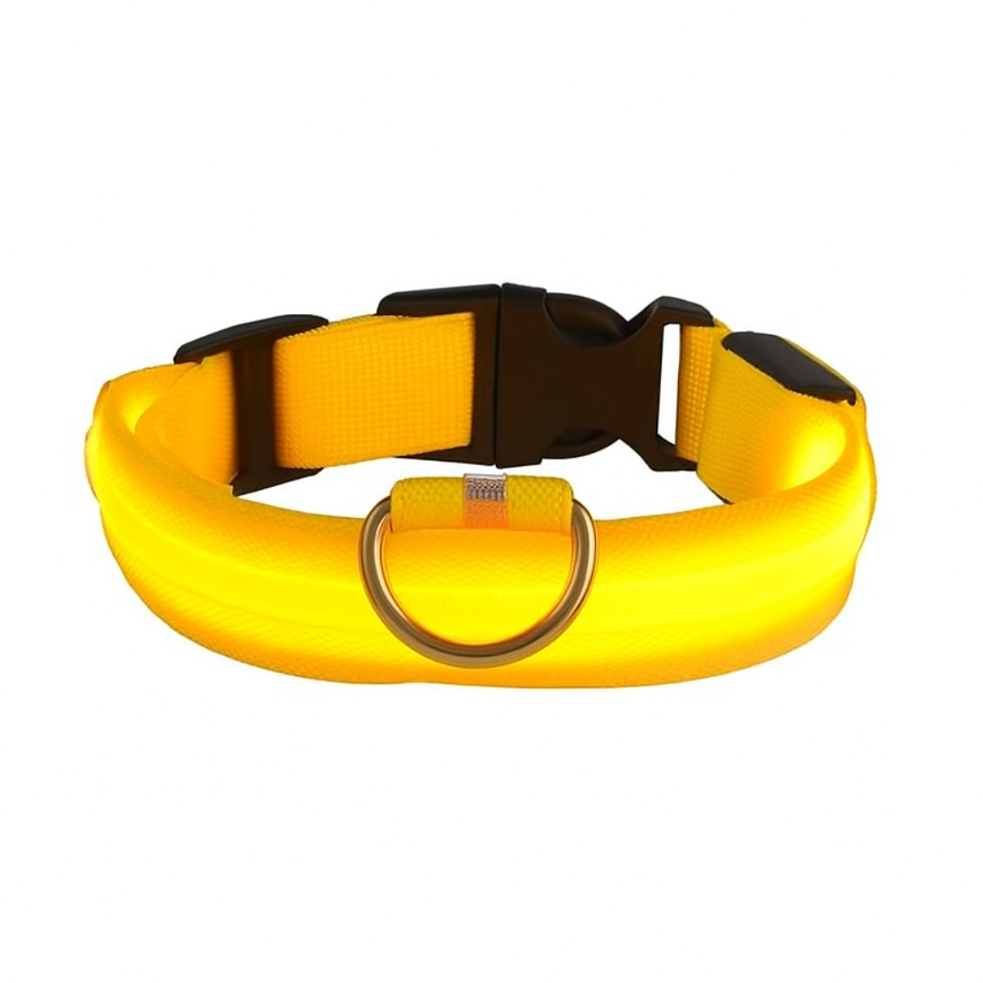 GlowGuard | LED-Hundehalsband für sichere Abendspaziergänge