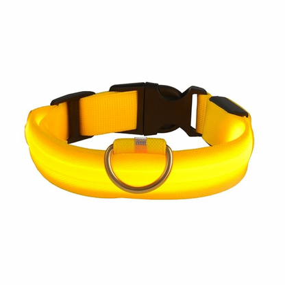 GlowGuard | LED-Hundehalsband für sichere Abendspaziergänge