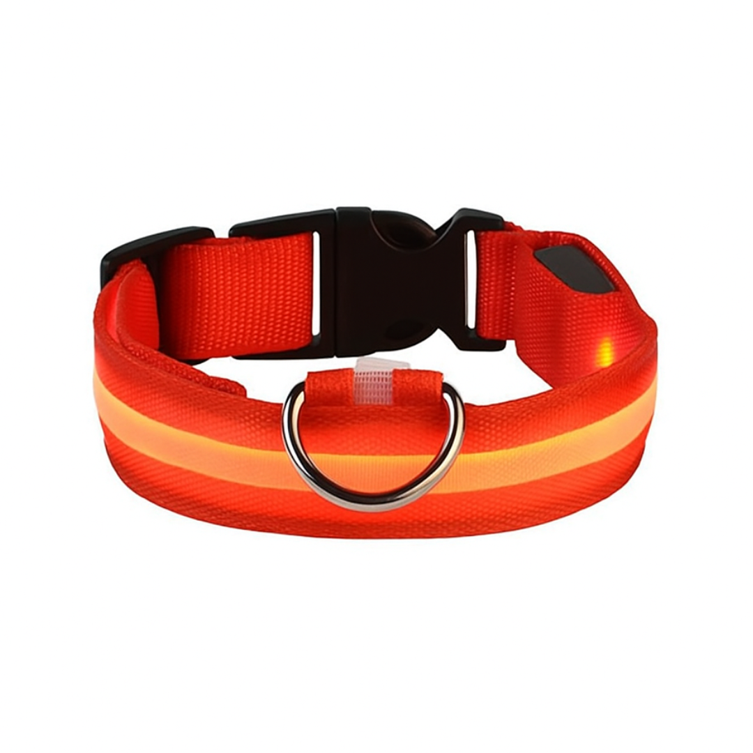 GlowGuard | LED-Hundehalsband für sichere Abendspaziergänge