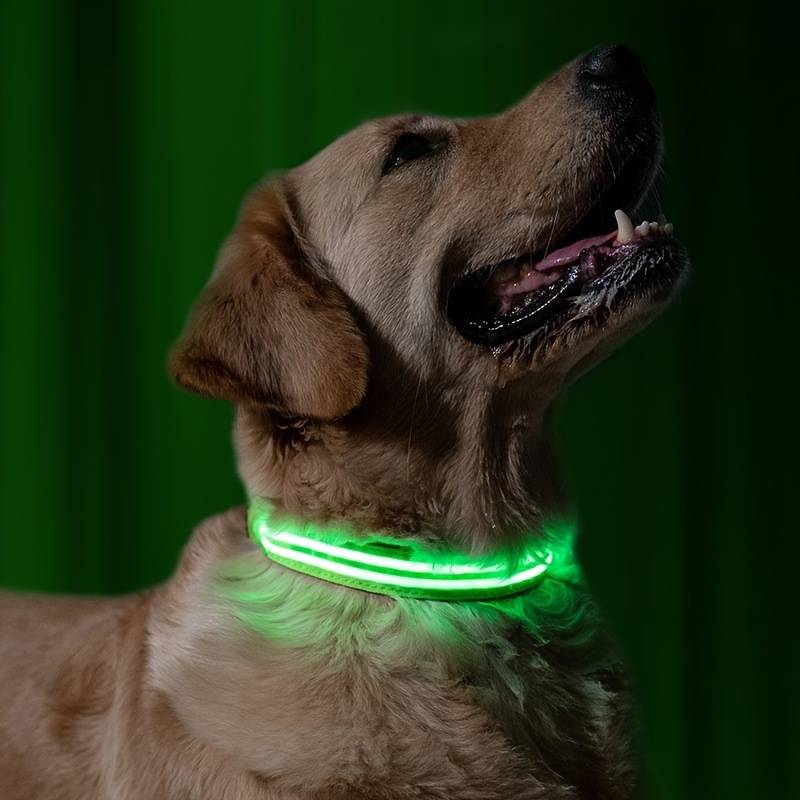 GlowGuard | LED-Hundehalsband für sichere Abendspaziergänge