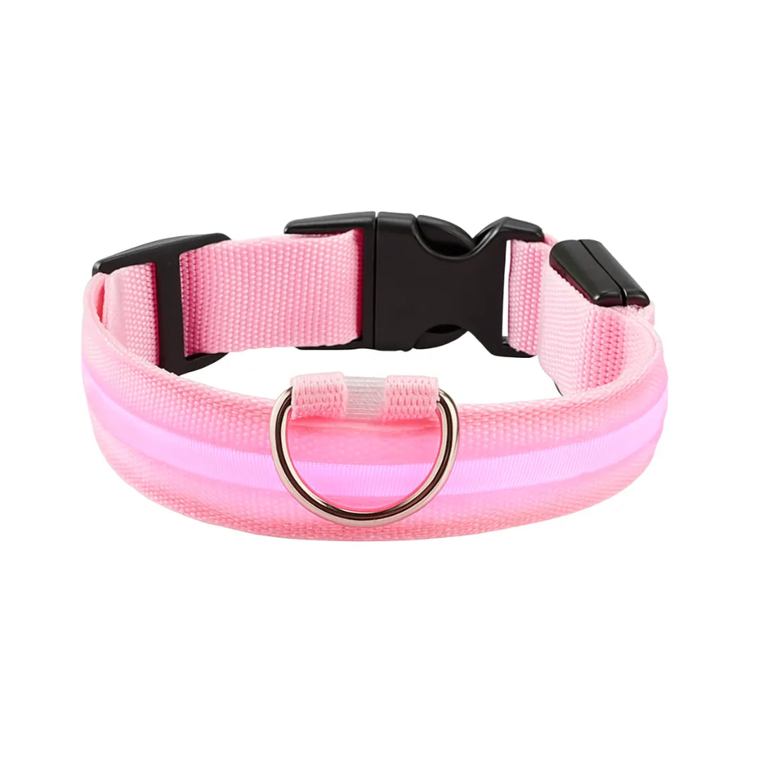 GlowGuard | LED-Hundehalsband für sichere Abendspaziergänge