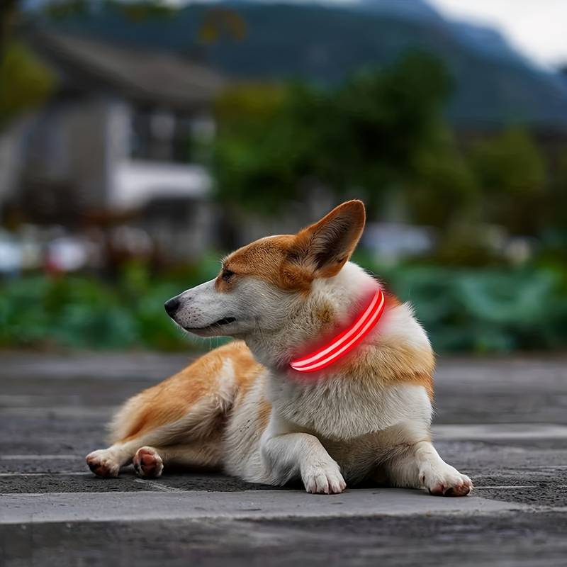 GlowGuard | LED-Hundehalsband für sichere Abendspaziergänge