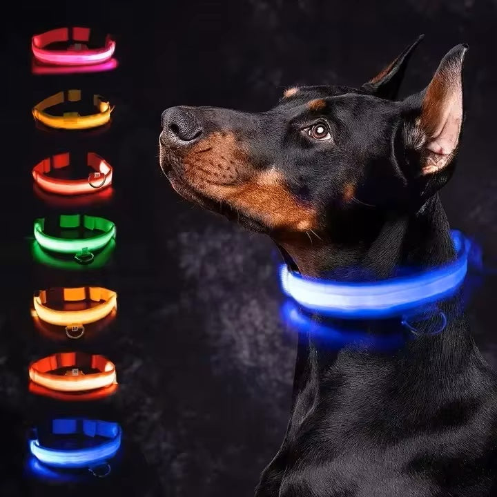 GlowGuard | LED-Hundehalsband für sichere Abendspaziergänge