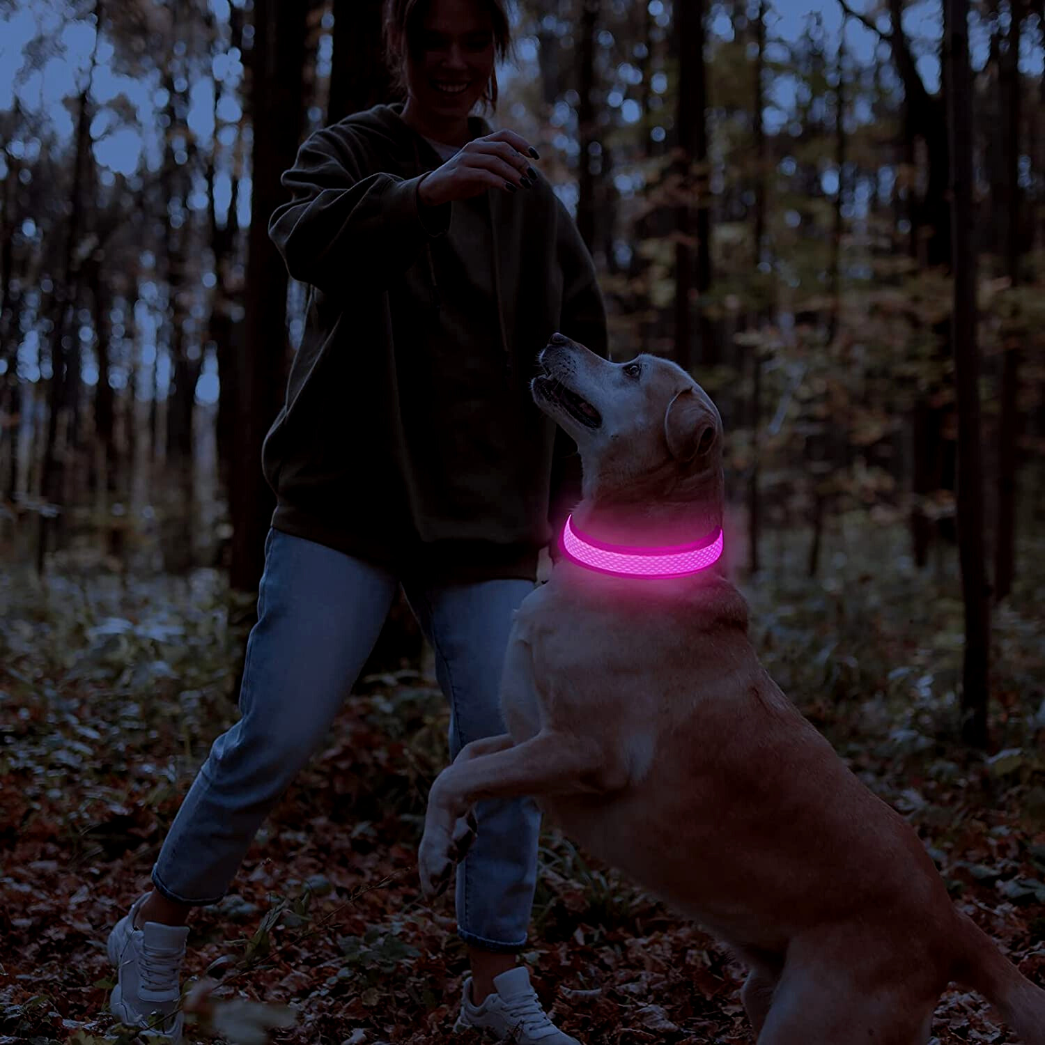 GlowGuard | LED-Hundehalsband für sichere Abendspaziergänge
