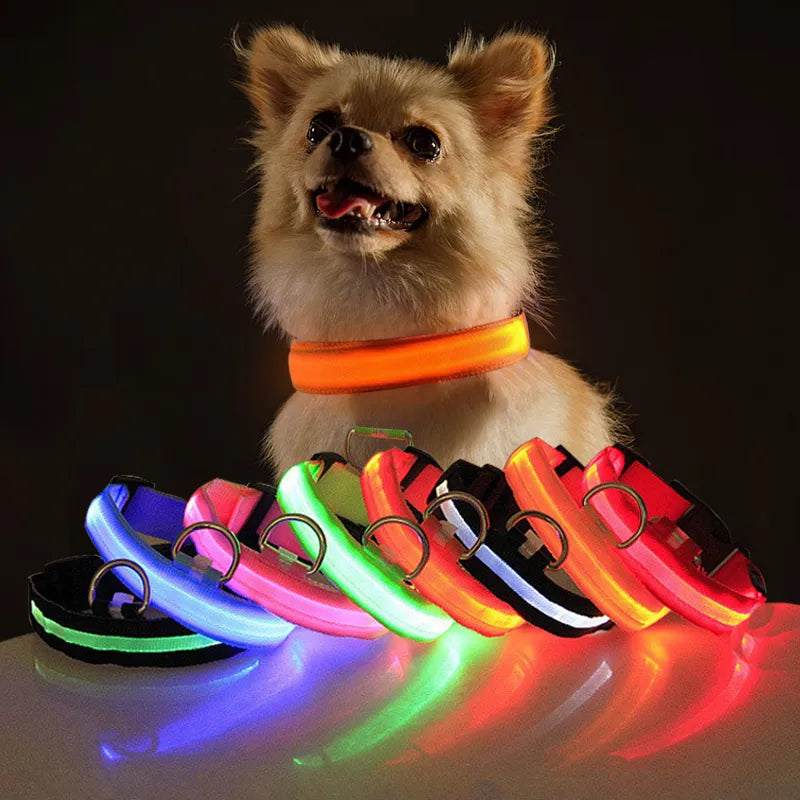 GlowGuard | LED-Hundehalsband für sichere Abendspaziergänge