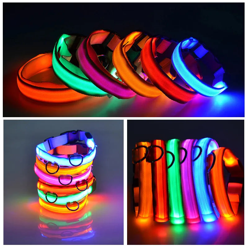 GlowGuard | LED-Hundehalsband für sichere Abendspaziergänge