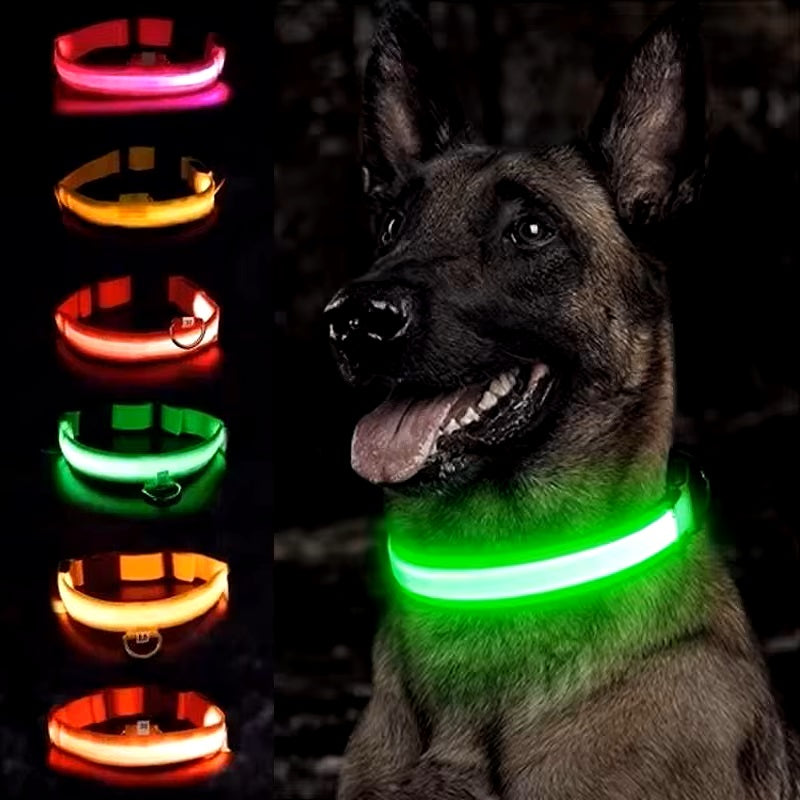 GlowGuard | LED-Hundehalsband für sichere Abendspaziergänge
