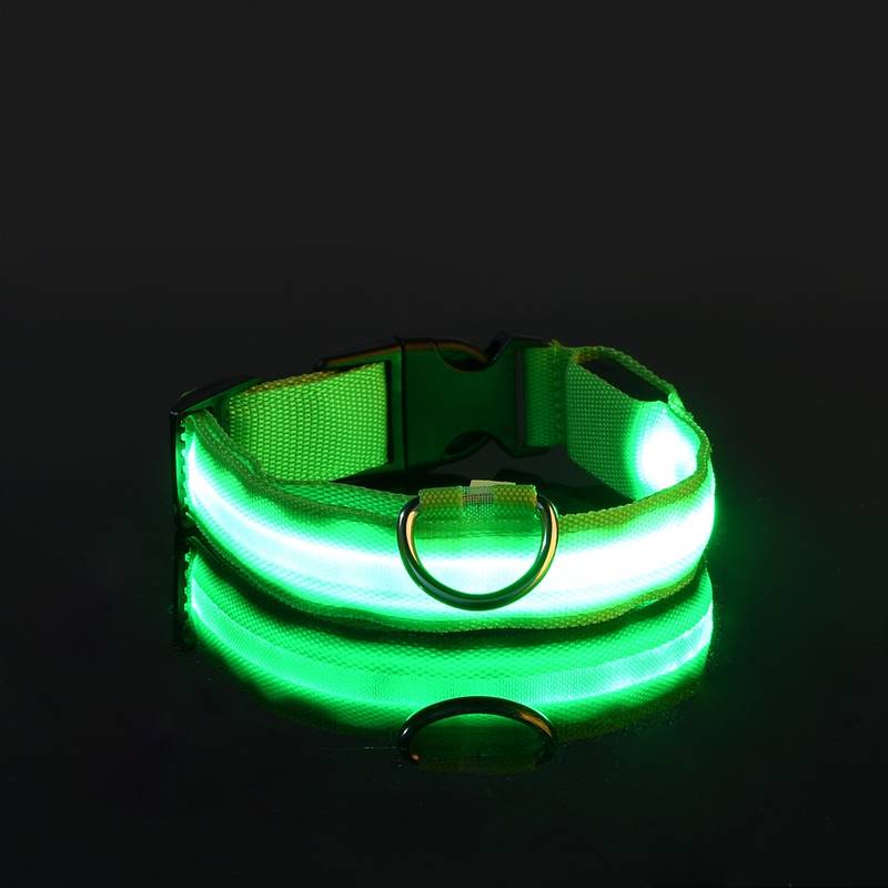 GlowGuard | LED-Hundehalsband für sichere Abendspaziergänge