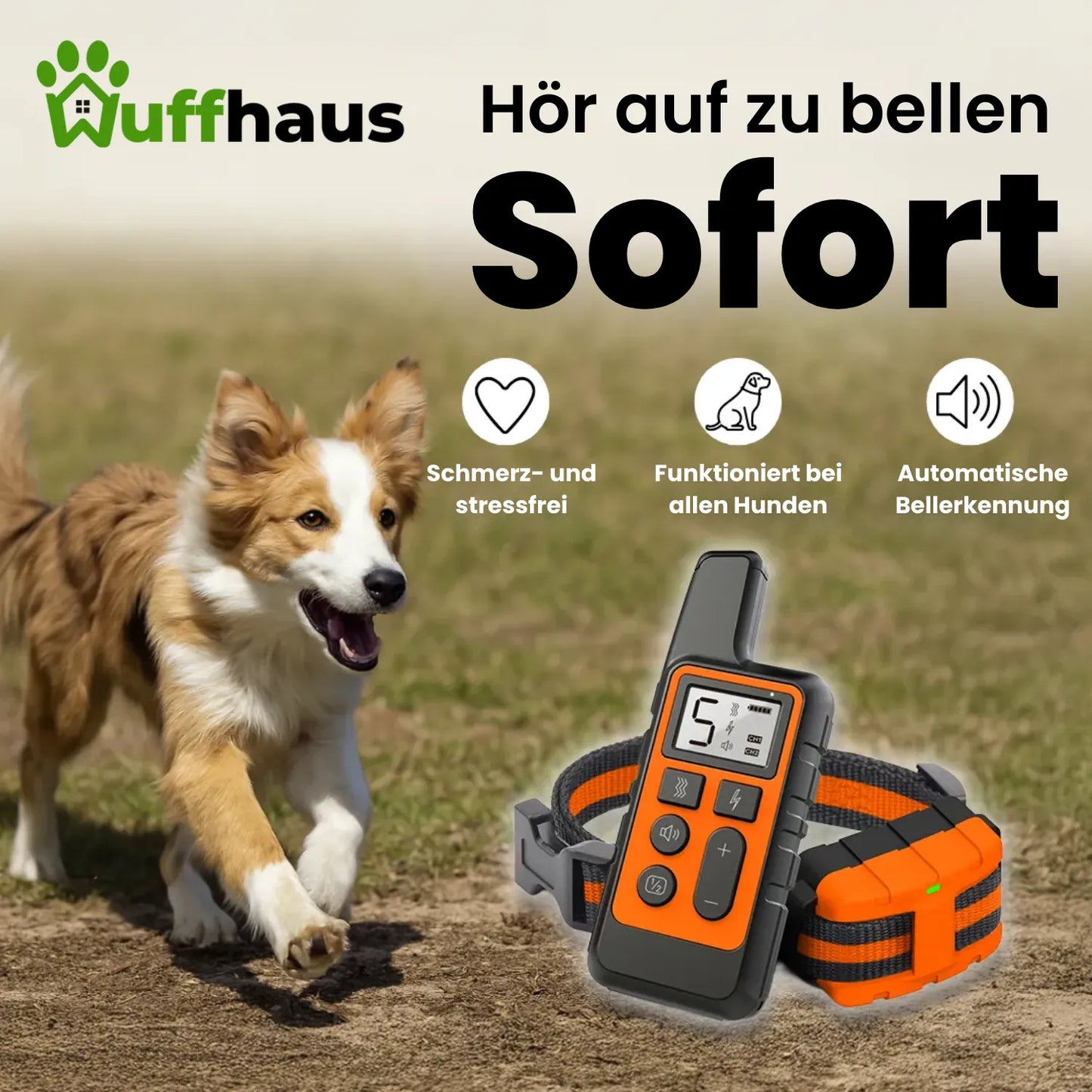 Hunde-Gehorsamstrainer | Wiederaufladbares Anti-Bell-Halsband mit Fernbedienung