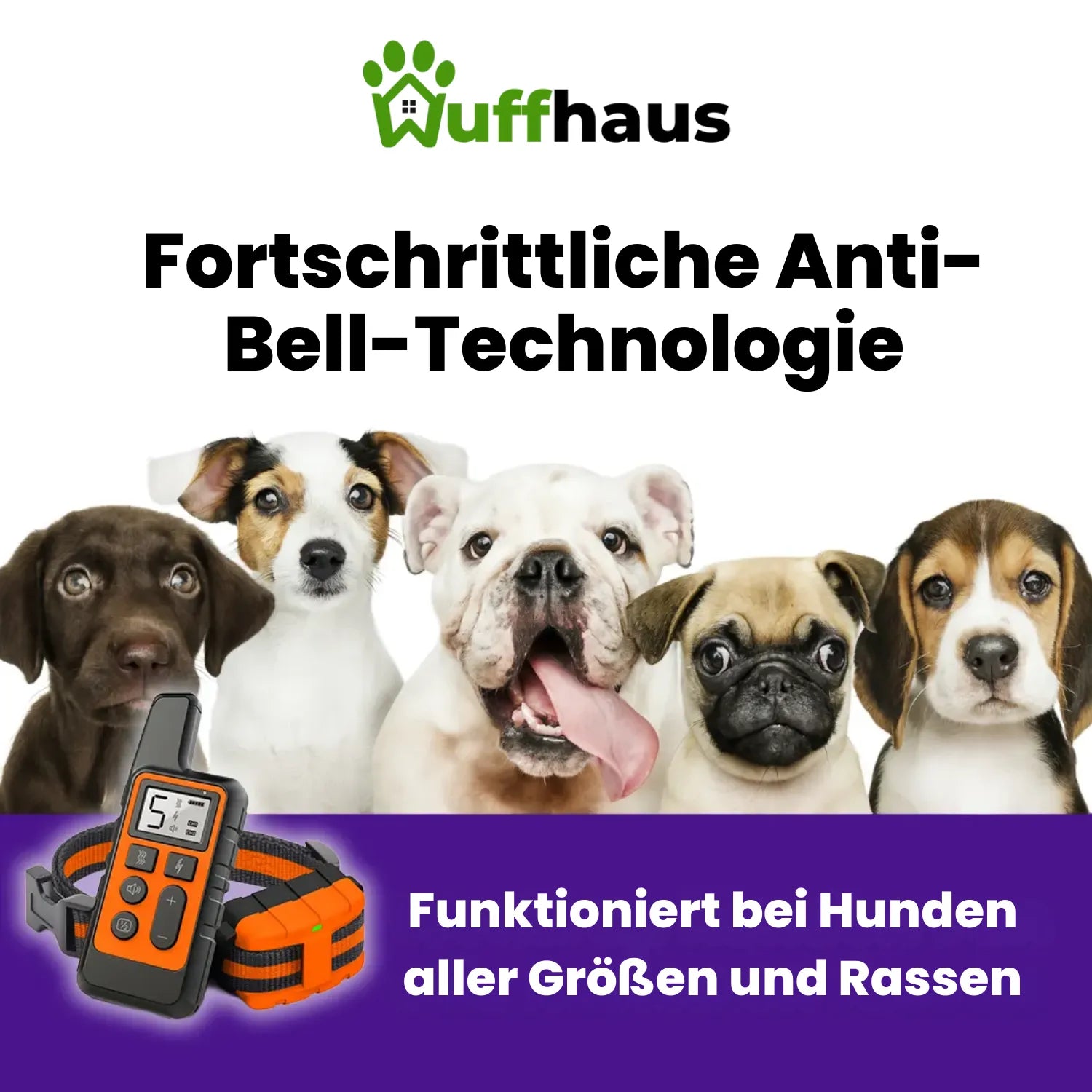 Hunde-Gehorsamstrainer | Wiederaufladbares Anti-Bell-Halsband mit Fernbedienung