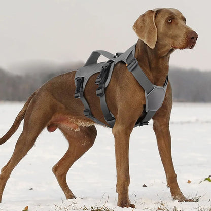 Hundegeschirr No-Pull reflektierend verstellbar | NightGuard