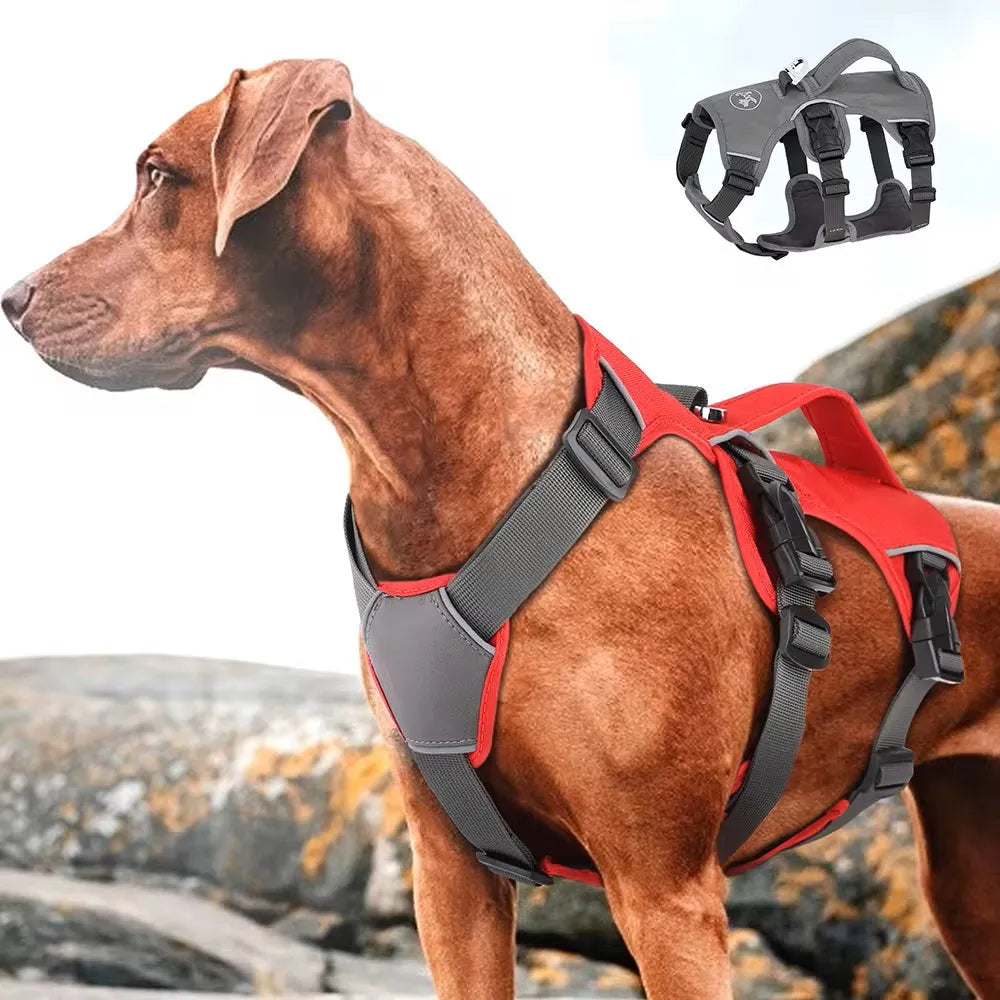 Hundegeschirr No-Pull reflektierend verstellbar | NightGuard