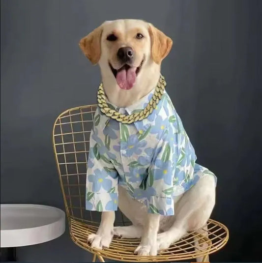 Hundehalsband Diamanten | Stilvolles Halsband für elegante Hunde