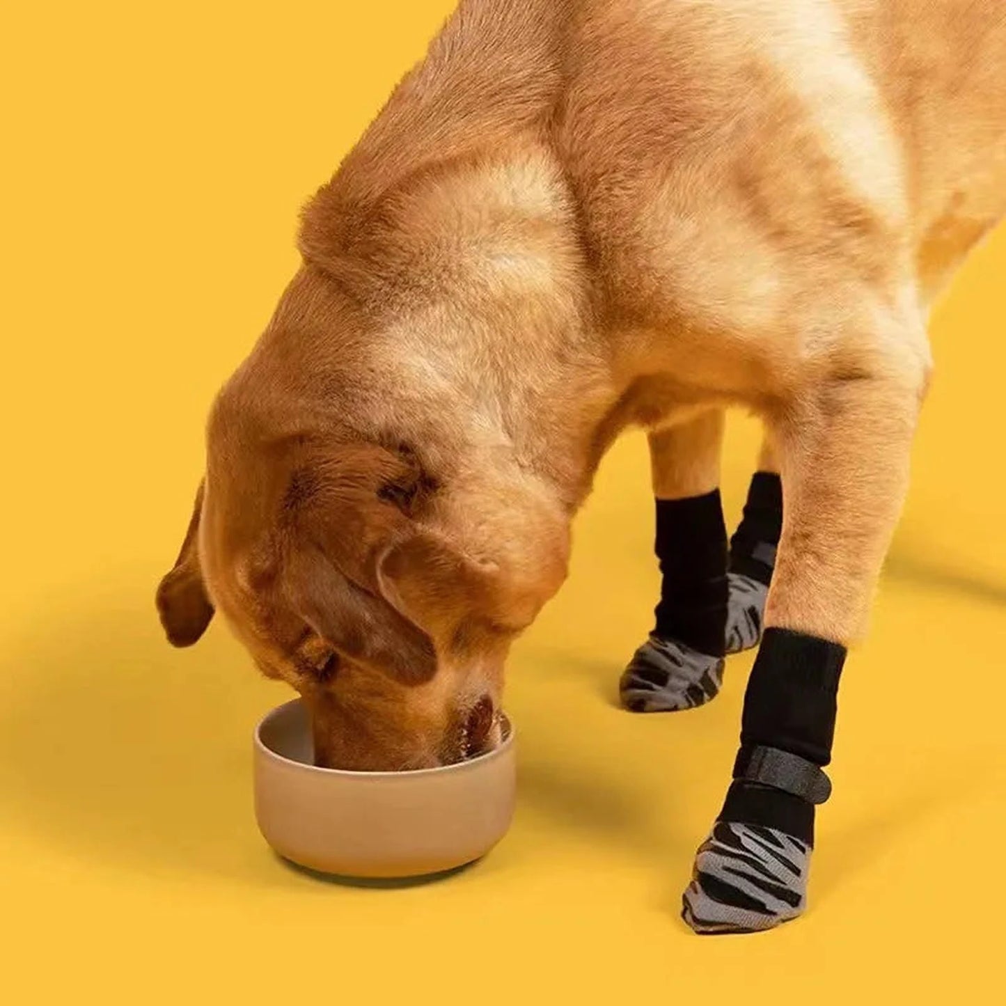 Hundesocken Anti Rutsch | Pfotenschutz mit rutschfester Sohle & Komfort